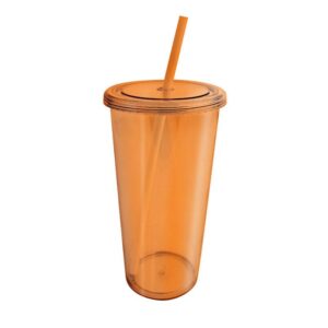 Vivid Tumbler With Straw -4Pk